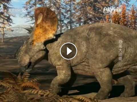 20160527 自然传奇 恐龙大迁徙